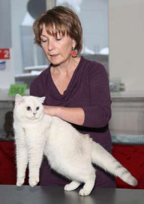 �������� ����� '������� ���-�����' 30 ������-1 ������� 2013., WCF-����� 4211